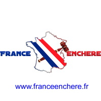 Logo de la startup France Enchère