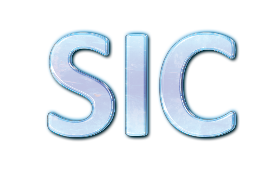 Logo de la startup Site Internet Concept