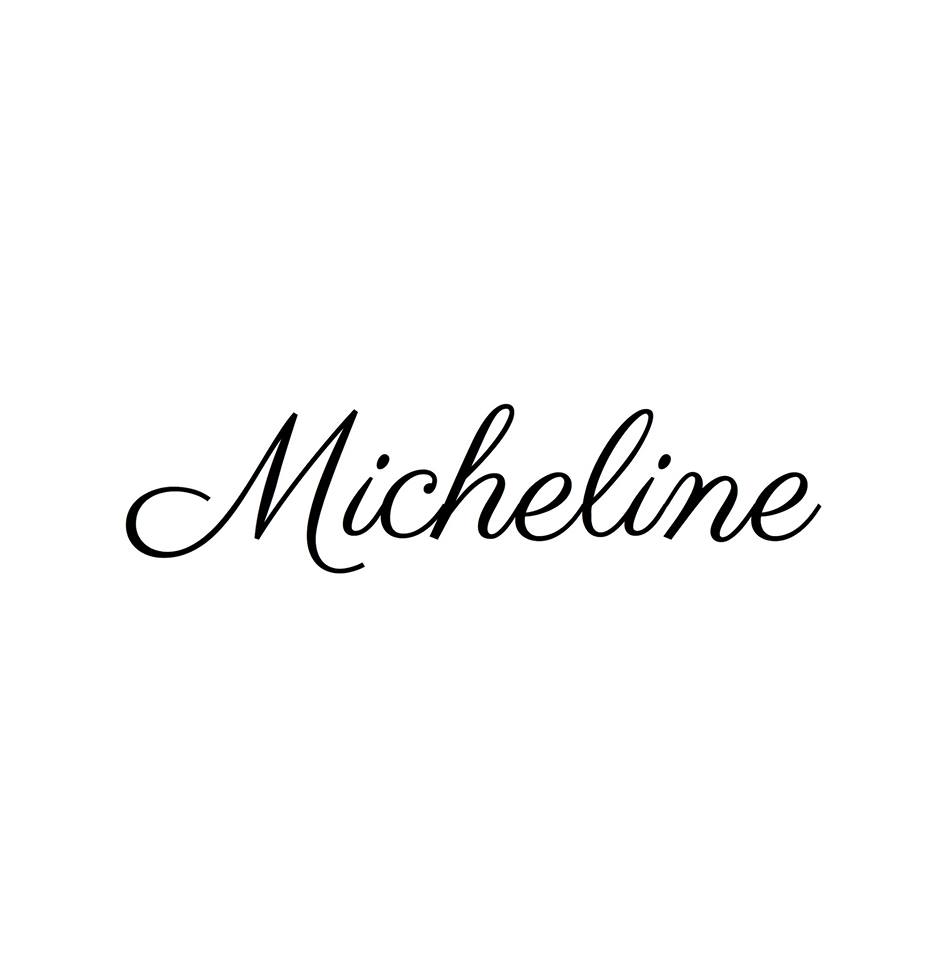 Logo de la startup Micheline
