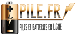 Logo de la startup Pile