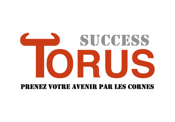 Logo de la startup Success Torus