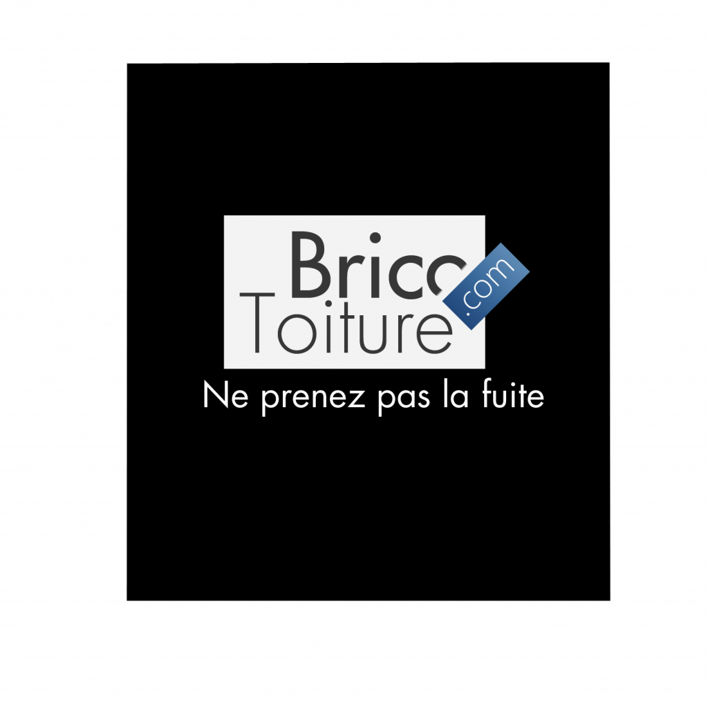 Illustration de la news Brico-Toiture