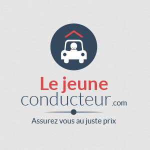 Le Jeune Conducteur