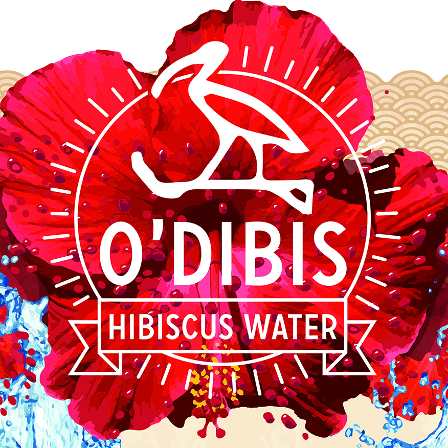 Logo de la startup O'DIBIS