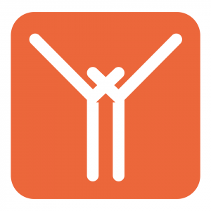 Logo de la startup XYstories