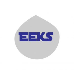 Logo de la startup eeks