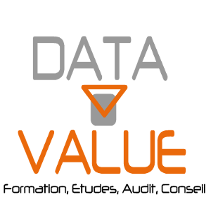 Logo de la startup DATA VALUE