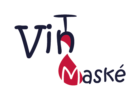 Logo de la startup VinMaské