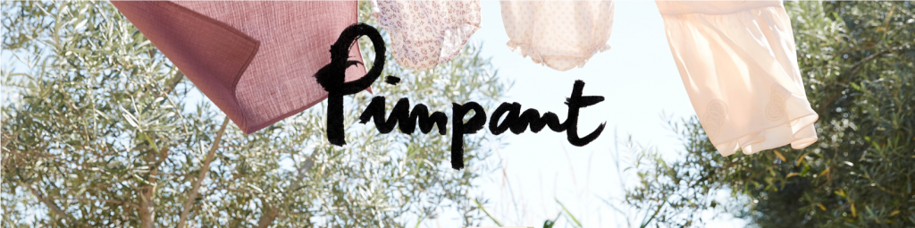 Logo de la startup Pimpant
