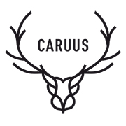 Logo de la startup CARUUS