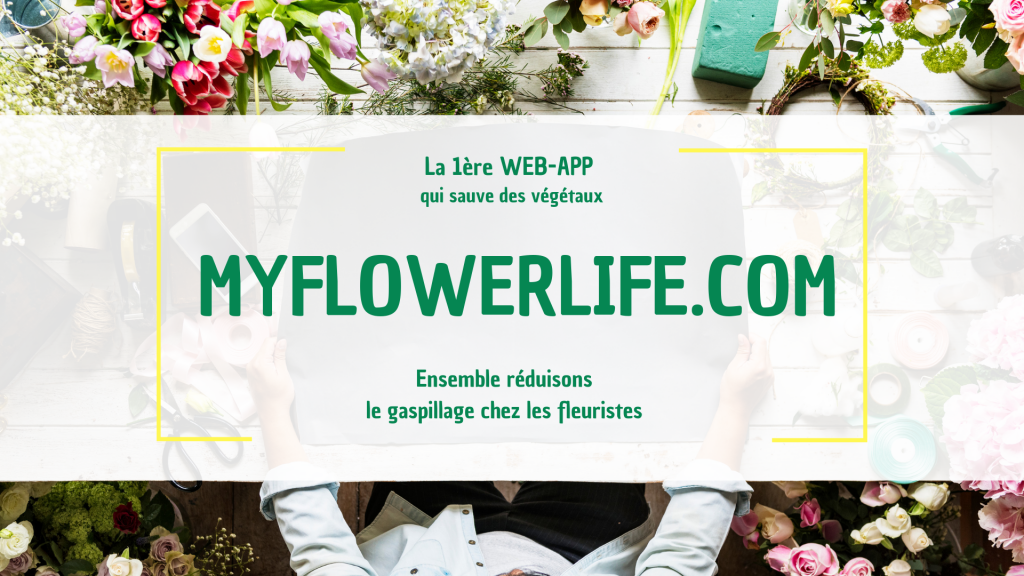 Illustration du crowdfunding MY FLOWER LIFE