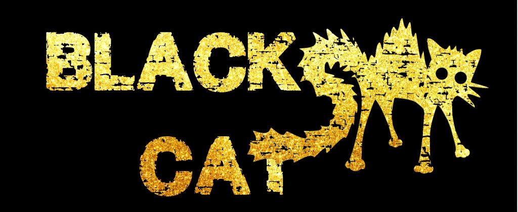 Illustration du crowdfunding Brassard Black Cat