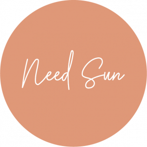 Illustration du crowdfunding Need Sun