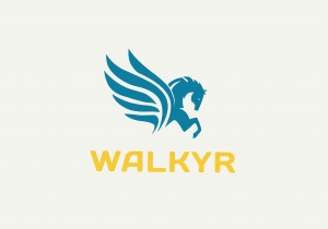 Illustration du crowdfunding Walkyr