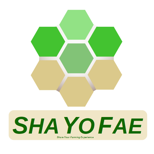 Logo de la startup ShaYoFae