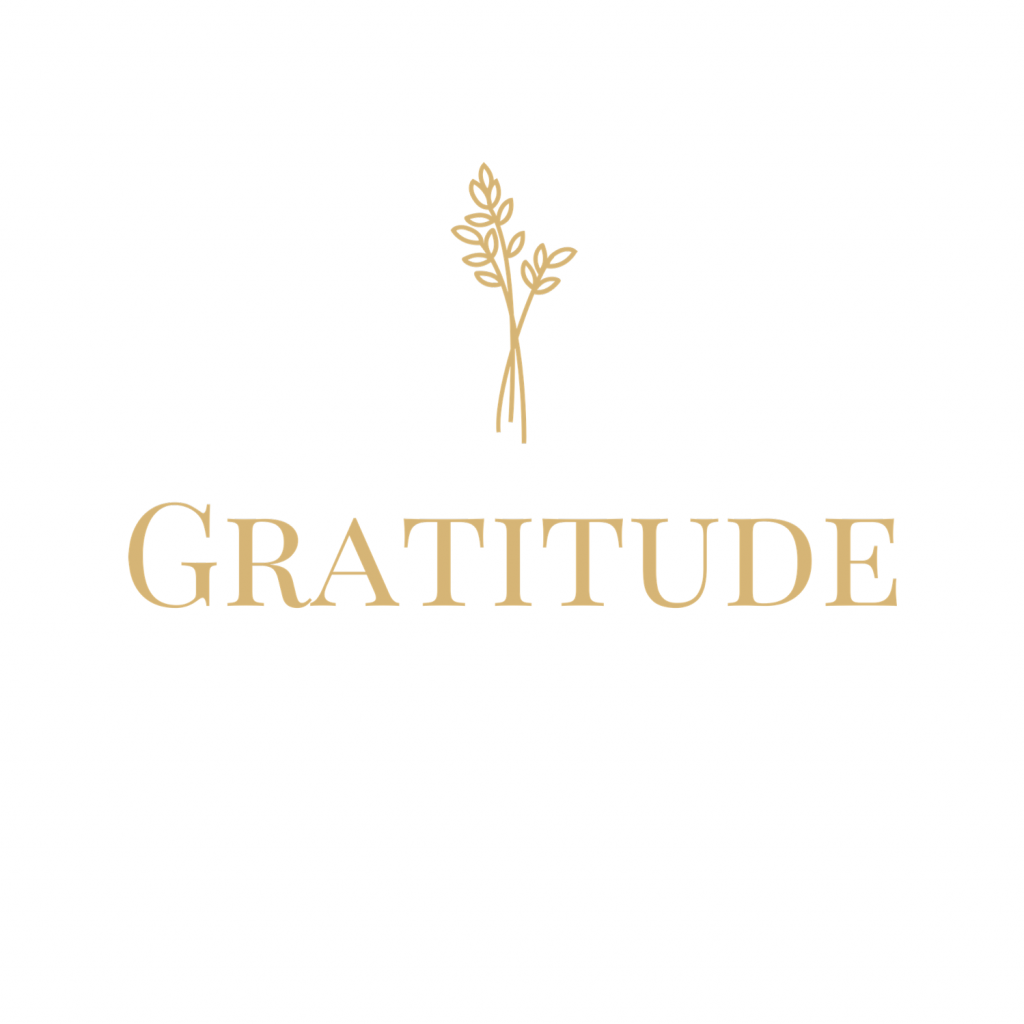 Logo de la startup Gratitude