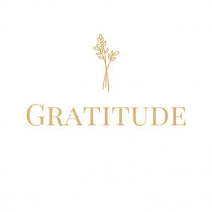 Illustration du crowdfunding Gratitude