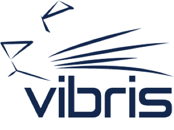 Logo de la startup Vibris
