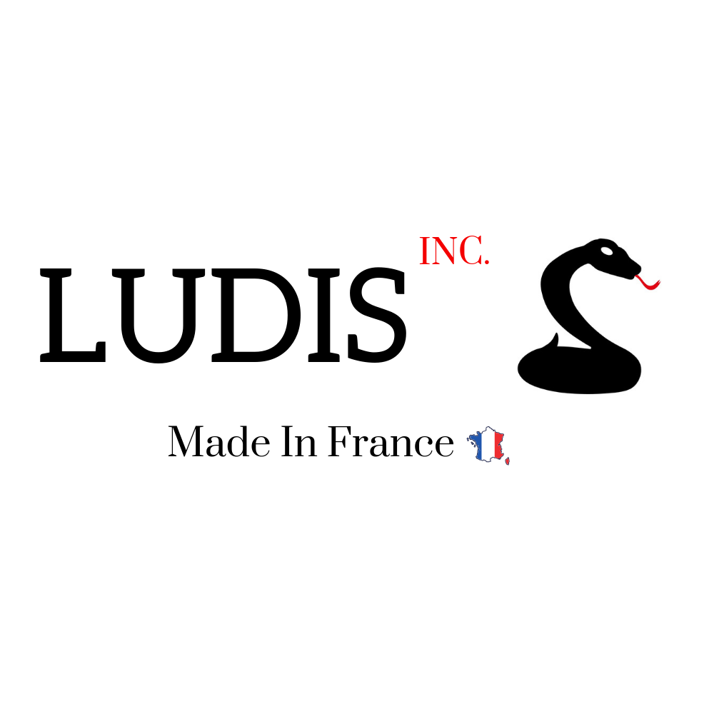 Logo de la startup LUDIS