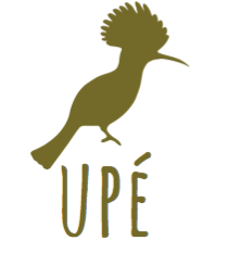 Logo de la startup UPÉ