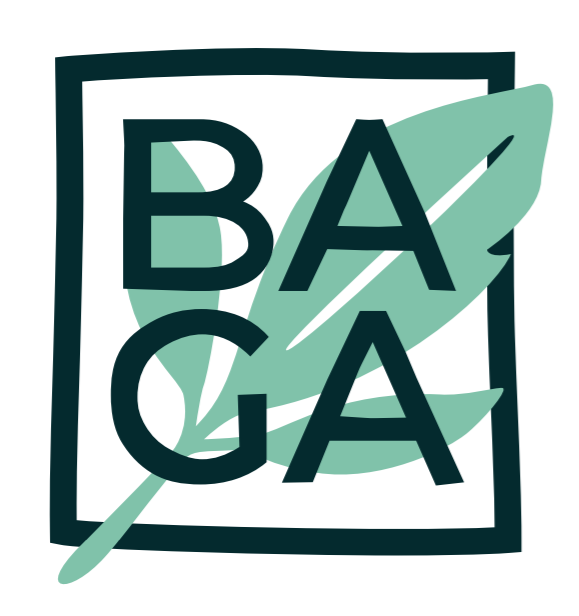 Illustration du crowdfunding Baga