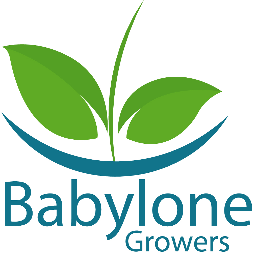Illustration de la news Babylone Growers Agritech