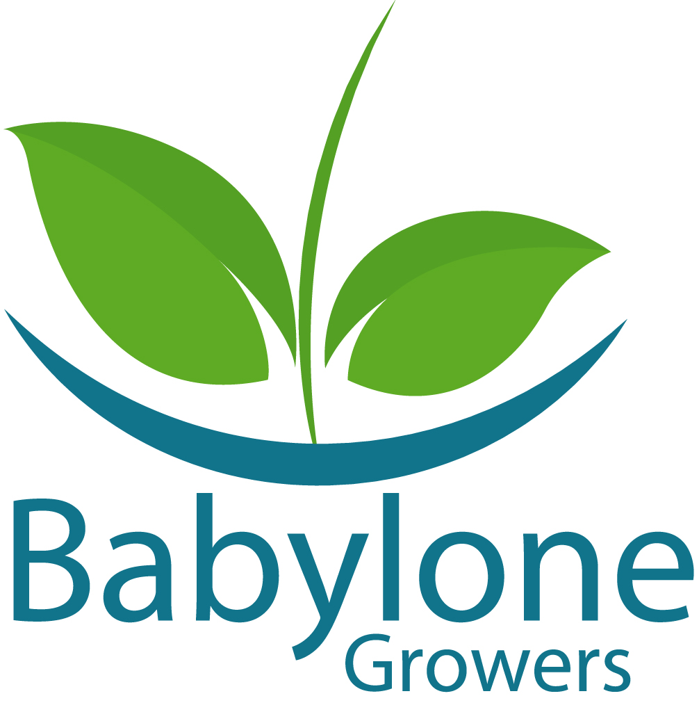 Babylone Growers Agritech
