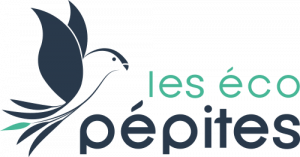Illustration du crowdfunding Les Eco Pépites