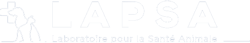 LAPSA