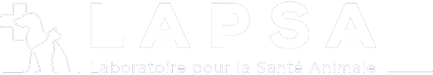 Logo de la startup LAPSA