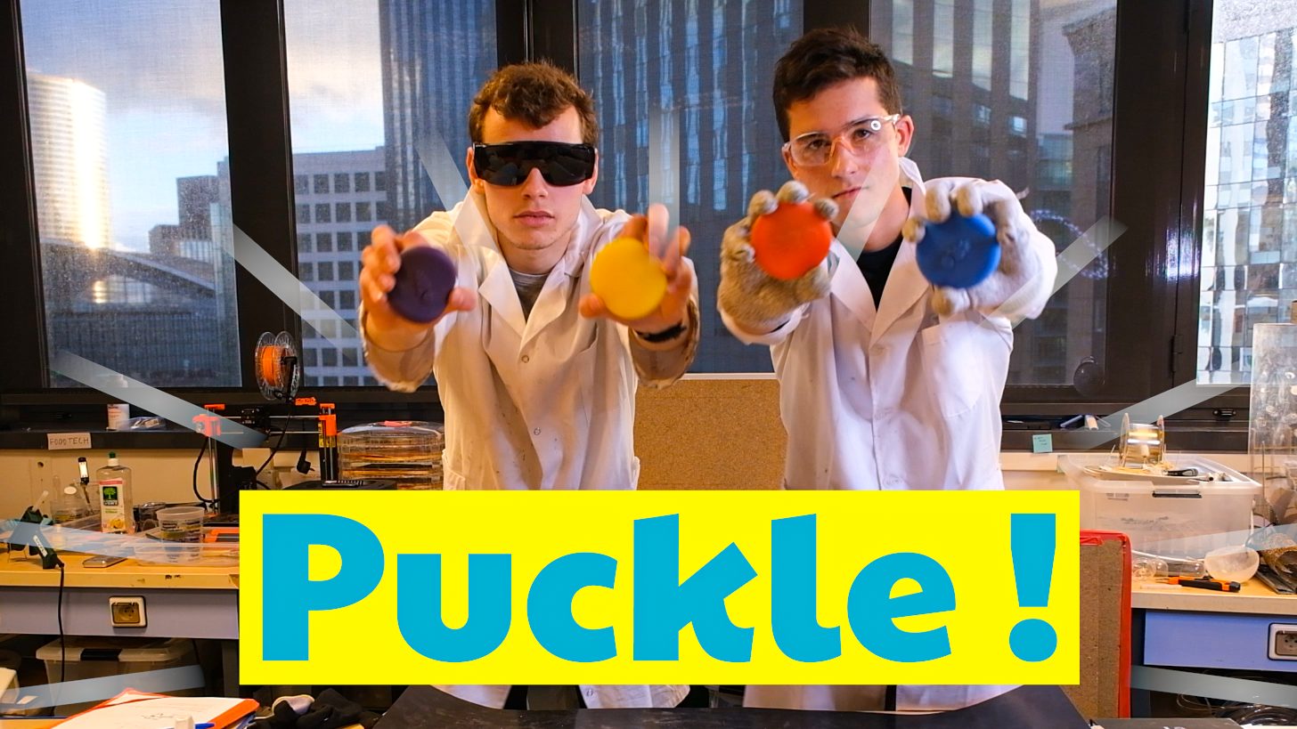 Logo de la startup Puckle