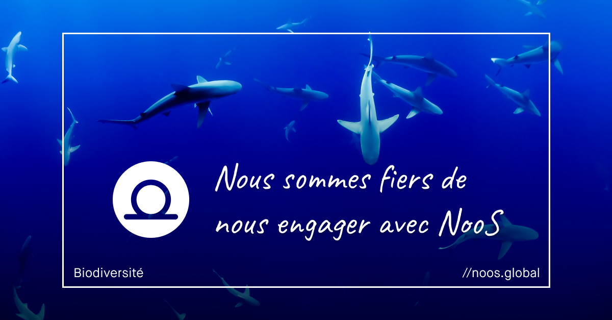 Logo de la startup NooS
