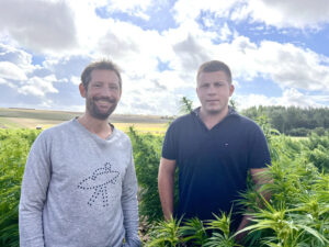 Kaya lance le CBD made in France