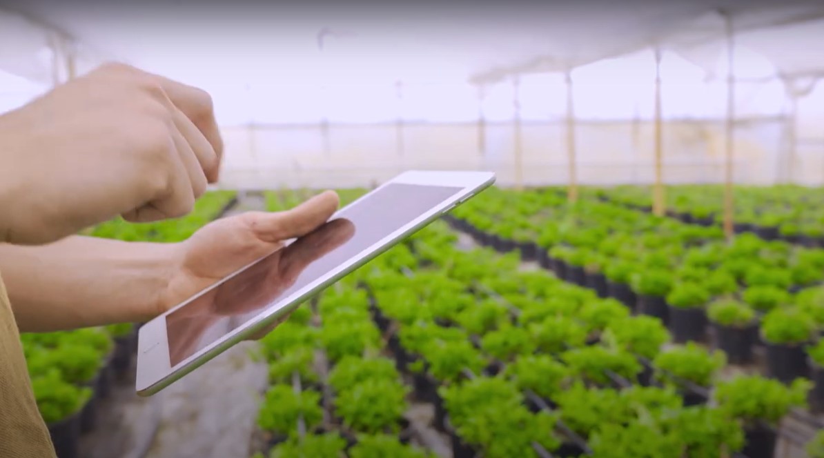 Gaïana annonce le rachat de la startup espagnole Ayanet tic