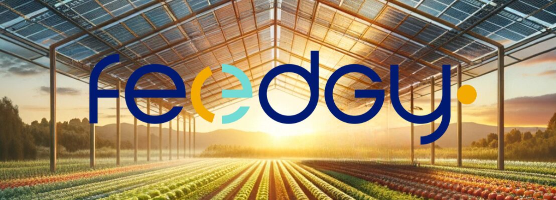 Logo de la startup Feedgy