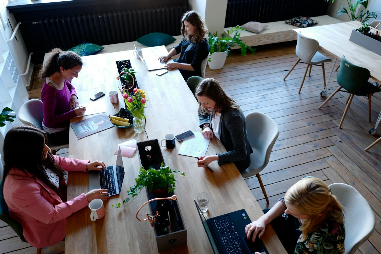 Logo de la startup Les nouveaux métiers dans les startups … mais pas que !