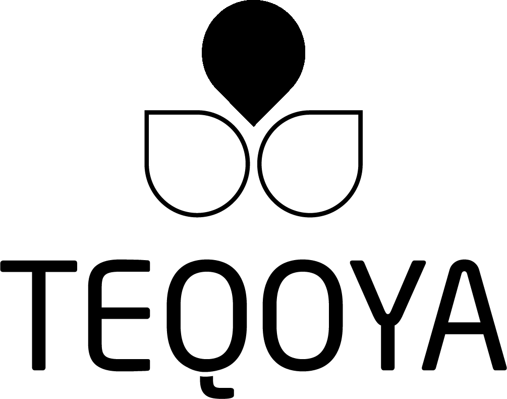 Logo de la startup TEQOYA