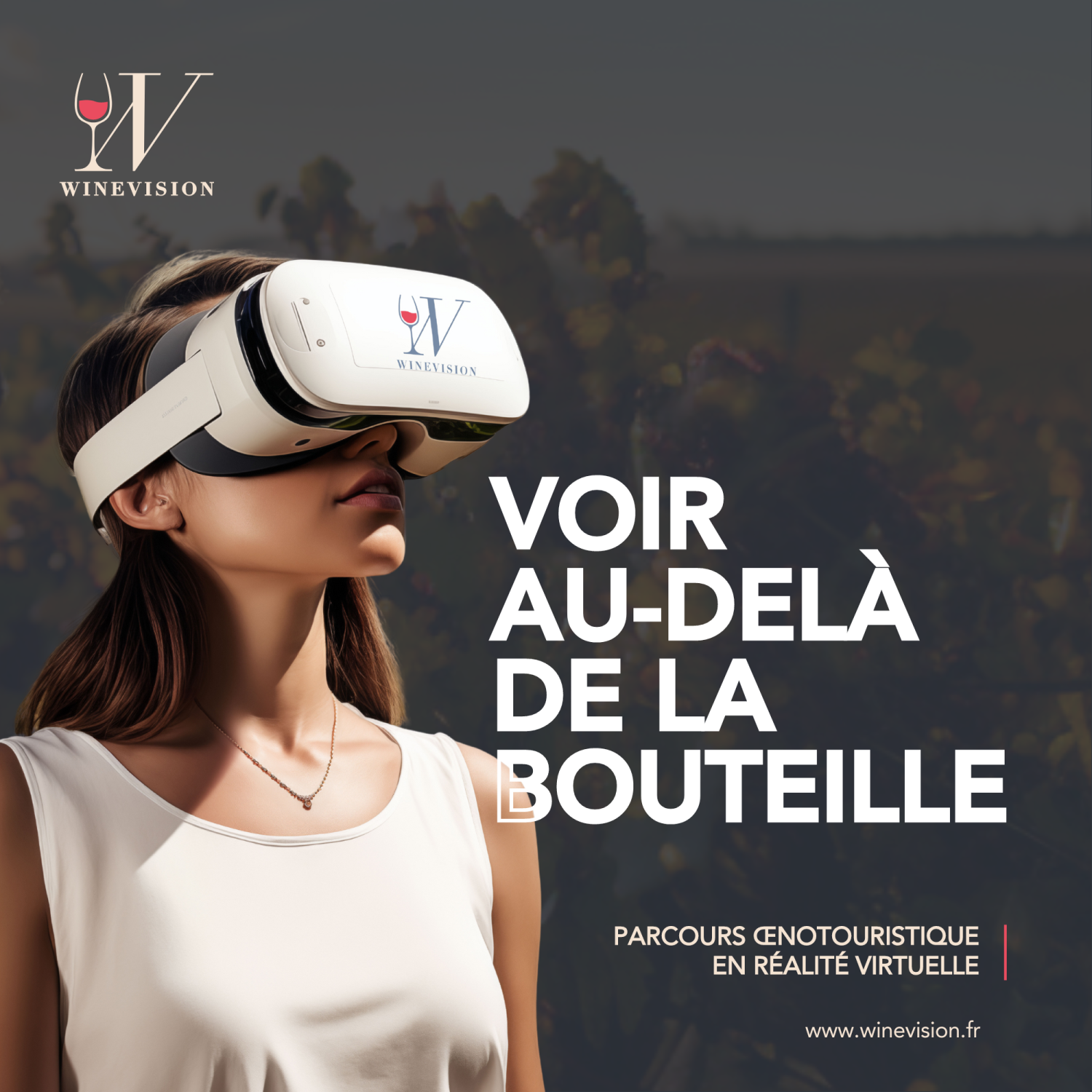WineVision vous invite à visiter un domaine viticole en réalité virtuelle