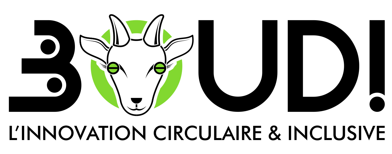 Logo de la startup BOUDI