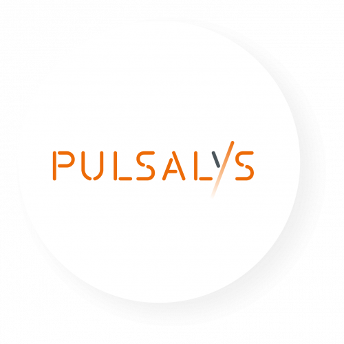La SATT PULSALYS dresse le bilan de 2024 !