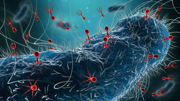 Illustration de la news GREENPHAGE lève 1,9 M€ pour développer ses virus anti-bactéries