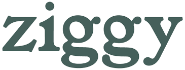 Logo de la startup Ziggy