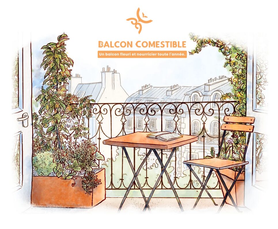 Logo de la startup Balcon Comestible