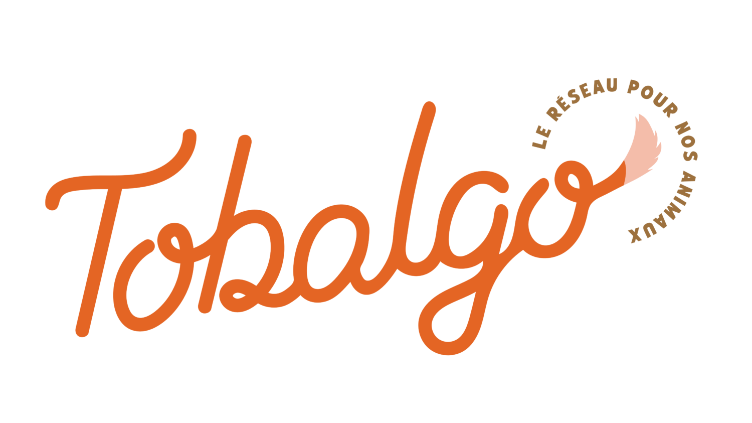 Logo de la startup Tobalgo