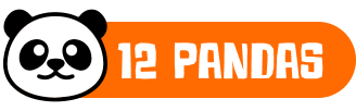 12 Pandas obtient la certification Qualiopi et lance de nouveaux parcours