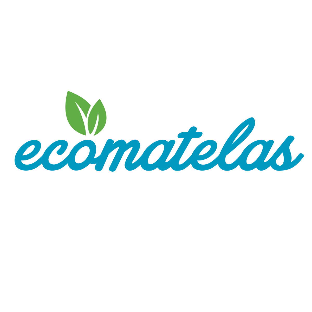 Ecomatelas : Leadership et ambitions pour 2026