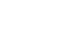 Logo de la startup Altaïde