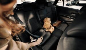 Illustration de la news Bolt lance l'option 