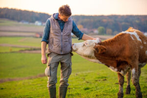 Illustration de la news MyMarguerit atteint 40 millions d'euros sous gestion