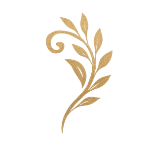 Logo de la startup Hermya